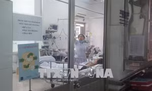 Thành phố Hồ Chí Minh: Thêm một trường hợp tử vong do nhiễm cúm A/H1N1
