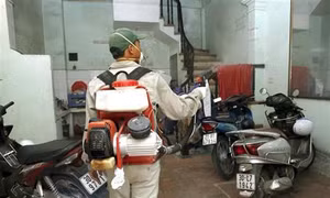 Cà Mau đẩy mạnh phòng, chống bệnh sốt xuất huyết