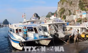 Huyện đảo Cô Tô đã có điện trở lại nhưng du khách vẫn nên hạn chế ra đảo