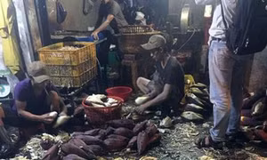 Thành phố Hồ Chí Minh phát hiện hai cơ sở sơ chế hoa chuối ngâm hóa chất