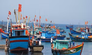 Quảng Ngãi phát triển mạnh khai thác thủy sản xa bờ
