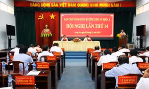 Long An tiếp tục tăng cường giám sát, đôn đốc thực hiện các chương trình đột phá, công trình trọng điểm