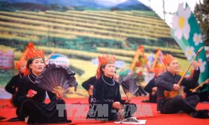 Hội hoa sở tại Quảng Ninh diễn ra từ ngày 14 đến 16/12