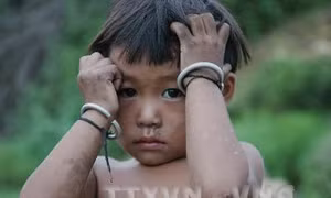 Nghệ An bảo tồn và phát triển bền vững tộc người thiểu số Đan Lai