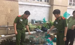 Tăng cường hợp tác bảo tồn các loài động vật hoang dã nguy cấp
