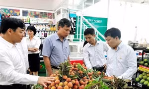 Tháng 8, chỉ số giá tiêu dùng Thành phố Hồ Chí Minh tăng 0,48%