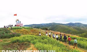 Thơ mộng điểm dừng chân trên đỉnh đèo Pha Đin