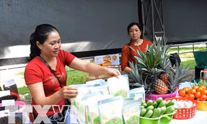 Ngày hội phụ nữ khởi nghiệp ở Đắk Lắk