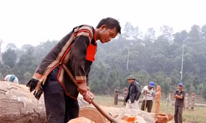 Chiếc rìu trong đời sống sản xuất của người Giẻ Triêng, Kon Tum