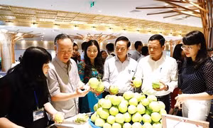 Hà Nội tổ chức Hội nghị về kết nối cung - cầu nông sản thực phẩm