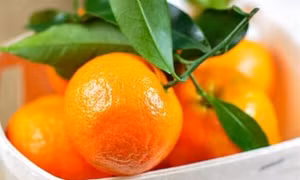 7 lý do nên ăn quýt mỗi ngày