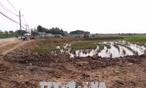 Thành phố Hồ Chí Minh chấn chỉnh phân lô bán nền ồ ạt