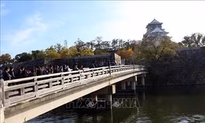 Lâu đài Osaka - Biểu tượng nổi tiếng của xứ sở Hoa Anh Đào