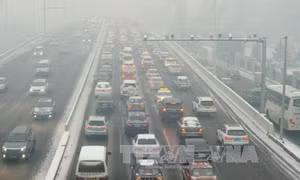 Hé mở mối liên hệ giữa ô nhiễm không khí và chứng mất trí nhớ