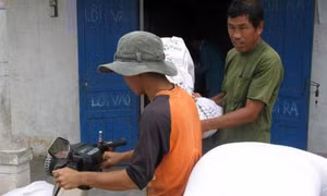 Hỗ trợ tỉnh Thanh Hóa hơn 50 nghìn tấn gạo