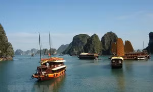 Quảng Ninh đóng cửa hoạt động cơ sở kinh doanh thương mại du lịch không phép