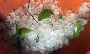 Mưa đá cường độ lớn kèm gió giật mạnh kéo dài ở Bắc Kạn