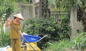 Tăng thu nhập từ phân bò ở Bến Tre