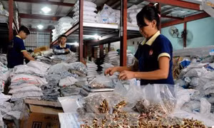 Ban hành Nghị định 39 quy định tiêu chí xác định doanh nghiệp nhỏ và vừa