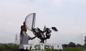 “Phóng điểu” - nét văn hóa đặc sắc của người Kinh Bắc