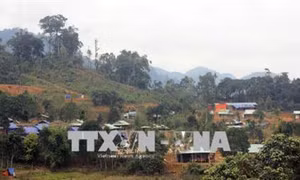 Xuân về trên làng mới Khe Chữ