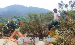 Nhân dân biên giới Việt - Trung phối hợp vệ sinh môi trường dọc tuyến sông biên giới