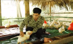 Hiệu quả từ mô hình giảm nghèo tại Thái Nguyên