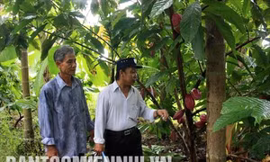 Kiên Giang: Hỗ trợ nhà, đất ở cho hộ đồng bào dân tộc Khmer nghèo