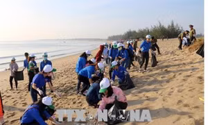 Cùng trồng cây xanh, góp phần bảo vệ môi trường sống