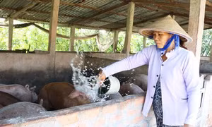 Long An: Thực hiện hiệu quả chương trình giảm nghèo bền vững