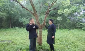 Chợ tình Xuân Dương - Nét văn hóa trong cộng đồng người Tày, Nùng