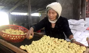 Các làng bánh truyền thống Quảng Ngãi vào vụ Tết Mậu Tuất 2018