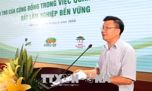 Hội thảo "Nâng cao vai trò của cộng đồng trong quản lý và sử dụng đất lâm nghiệp bền vững"