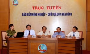 Hỗ trợ tới 90% phí bảo hiểm nông nghiệp cho hộ nghèo