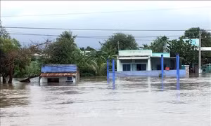 Ảnh hưởng bão số 9: Ninh Thuận cho học sinh nghỉ học để đảm bảo an toàn trong thời điểm mưa lũ