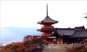 Kiyomizu Dera, ngôi chùa cổ nổi tiếng nhất cố đô Kyoto (Nhật Bản)