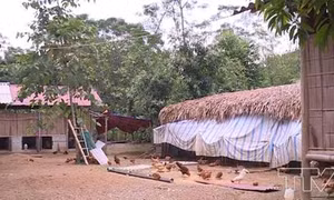 Huyện miền núi Lang Chánh xây dựng nhiều mô hình đảm bảo an toàn thực phẩm