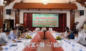 Nâng cao hiệu quả công tác bảo tồn voi ở Đắk Lắk