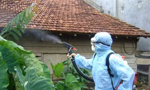 Nhiều khó khăn trong phòng chống sốt rét tại Đắk Lắk 