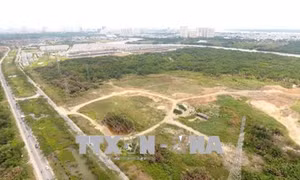Kỷ luật hàng loạt lãnh đạo Công ty Tân Thuận
