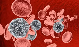 Virus trong máu có thể gây các bệnh về tiêu hóa