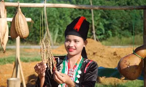 Phong tục cưới xin của người Khơ mú ở Nghệ An
