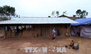 Giải quyết dứt điểm tình trạng phá rừng và di cư ngoài kế hoạch tại huyện Mường Nhé, Điện Biên