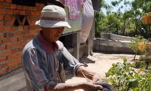 Ninh Thuận phát triển nuôi dông thương phẩm