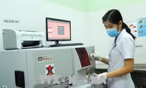 Kỳ vọng stent mạch vành “made in” Việt Nam