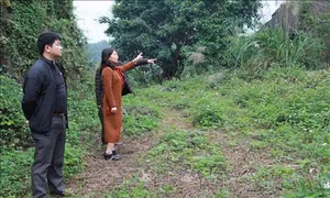 Nhiều điểm, khu di tích ở Lạng Sơn bị xâm hại, lấn chiếm