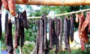 Bò giàng - đặc sản của núi rừng miền Tây xứ Nghệ