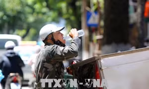 Bổ sung nước đúng cách mùa nắng nóng giúp tăng sức đề kháng của cơ thể