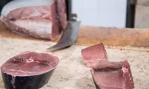 Các loại hải sản có thể gây ngộ độc