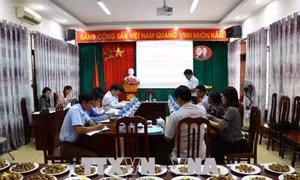 Hòa Bình bảo tồn và phát triển cây bản địa quất hồng bì